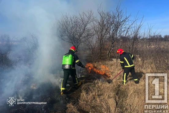 Неприємні штрафи: на Дніпропетровщині притягнули до відповідальності 20 паліїв, через яких горіли екосистеми5