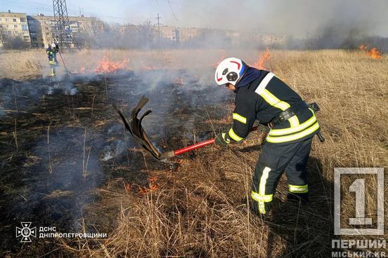 Неприємні штрафи: на Дніпропетровщині притягнули до відповідальності 20 паліїв, через яких горіли екосистеми7