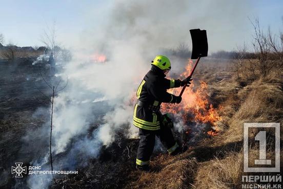 Неприємні штрафи: на Дніпропетровщині притягнули до відповідальності 20 паліїв, через яких горіли екосистеми8