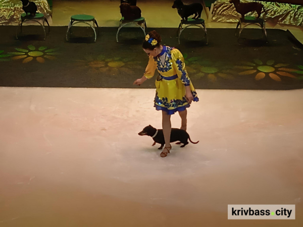 «Незламні»: криворізький державний цирк презентував патріотичне шоу на льоду2