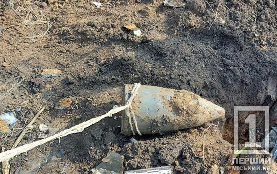 Очищують поля від смертельно небезпечного сміття: на Дніпропетровщині знешкодили бойові частини «Шахедів»