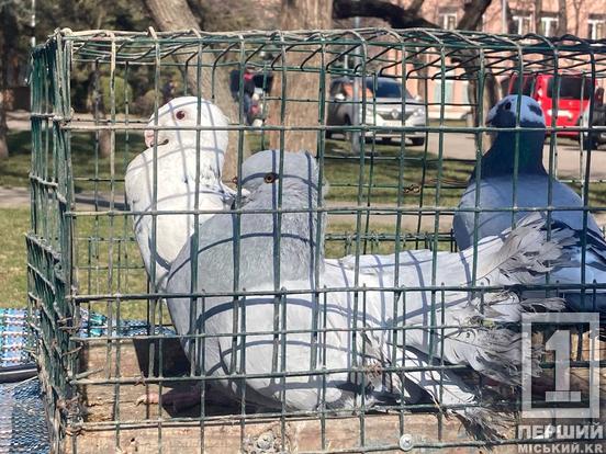 Пірнато-пухнастий десант у Кривому Розі: у Саксаганському парку пройшла благодійна виставка тварин4