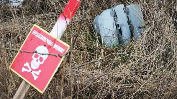 В Україні на замінованих ворогом територіях з початку повномасштабного вторгнення армії рф знешкоджено понад 151 тисячу вибухових предметів3