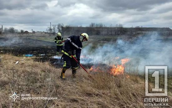 Замість аромату весни – дим від багаття: на Дніпропетровщині за день вигоріло понад 37 га екосистем