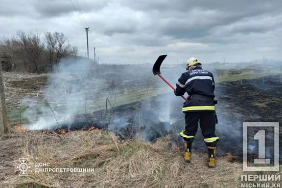 Замість аромату весни – дим від багаття: на Дніпропетровщині за день вигоріло понад 37 га екосистем3