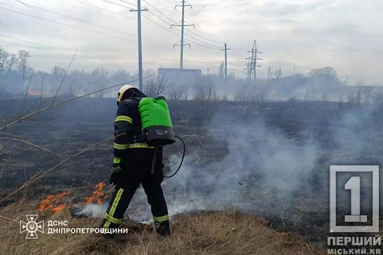 Замість аромату весни – дим від багаття: на Дніпропетровщині за день вигоріло понад 37 га екосистем1