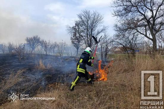 Замість аромату весни – дим від багаття: на Дніпропетровщині за день вигоріло понад 37 га екосистем2