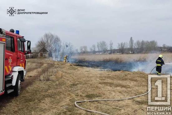 Замість тюльпанів коханим – сморід диму з присмаком штрафу: ще 9 паліїв з Дніпропетровської області отримали покарання2