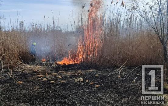 Знову страждає природа: у Саксаганському районі Кривого Рогу сильно горіла трава