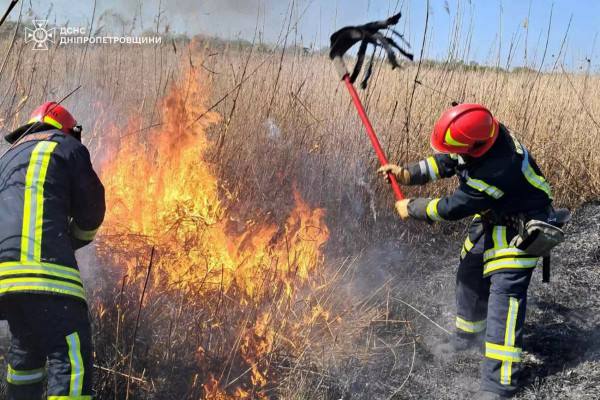 Кількість пожеж в екосистемах Дніпропетровщини знову збільшилася1