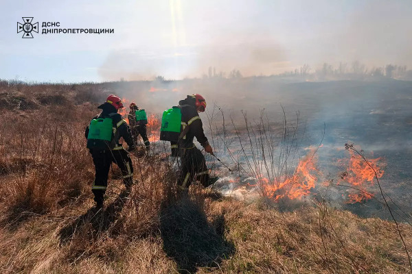 На Дніпропетровщіні минулої доби вогнеборці загасили 65 пожеж в екосистемах1