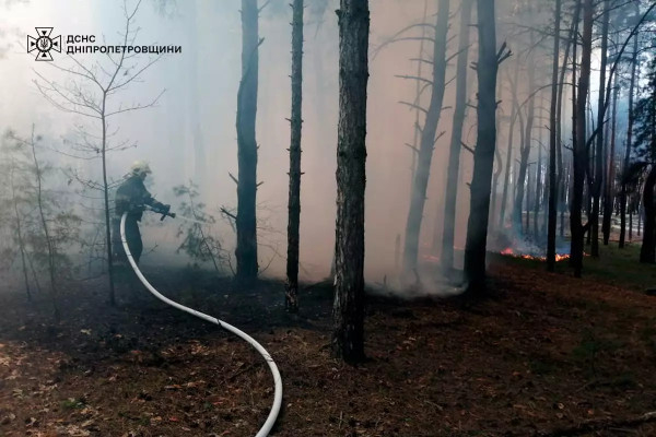 На Дніпропетровщіні минулої доби вогнеборці загасили 65 пожеж в екосистемах0