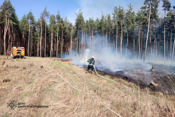На Дніпропетровщіні минулої доби вогнеборці загасили 65 пожеж в екосистемах2