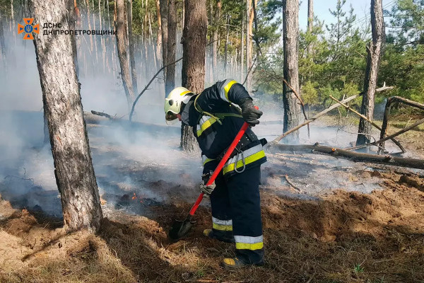 На Дніпропетровщіні минулої доби вогнеборці загасили 65 пожеж в екосистемах4