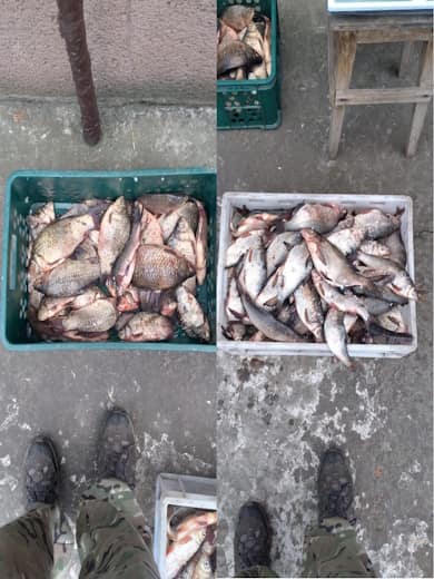 Небувалі розмахи браконьєрства на Криворіжжі: водний патруль вилучив більше кілометра сіток з рибою3