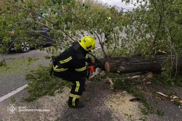 Негода на Дніпропетровщині повалила велику кількість дерев6