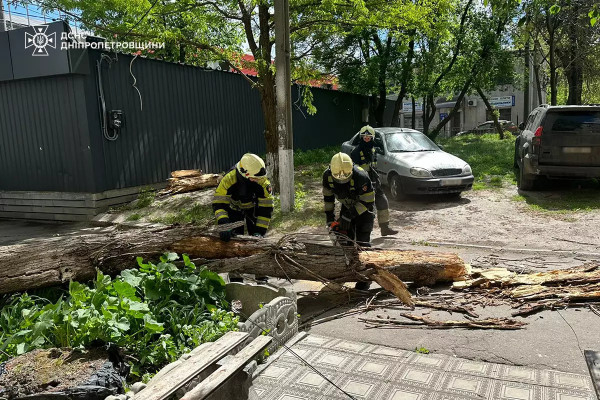 Негода на Дніпропетровщині повалила велику кількість дерев5