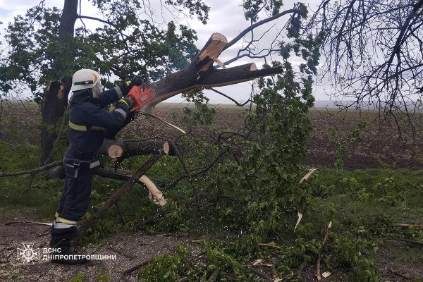 Негода на Дніпропетровщині повалила велику кількість дерев0