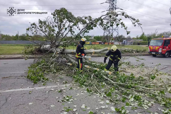 Негода на Дніпропетровщині повалила велику кількість дерев3