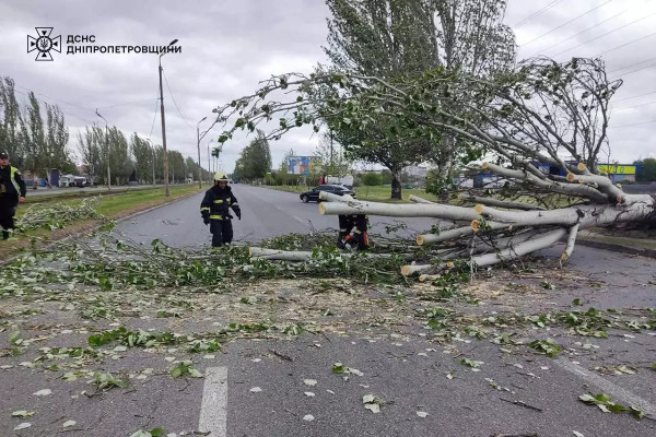 Негода на Дніпропетровщині повалила велику кількість дерев4