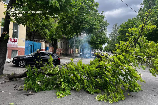 Негода на Дніпропетровщині повалила велику кількість дерев1