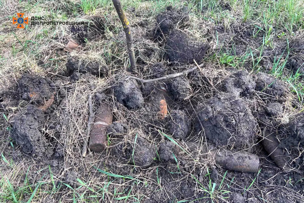 Неподалік від Кривого Рогу днями піротехніки знайшли схрон боєприпасів часів Другої світової0