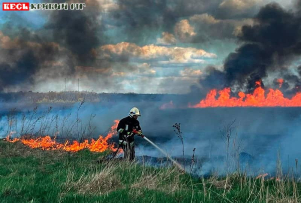 Рятувальники ліквідовують пожежу в екосистемі