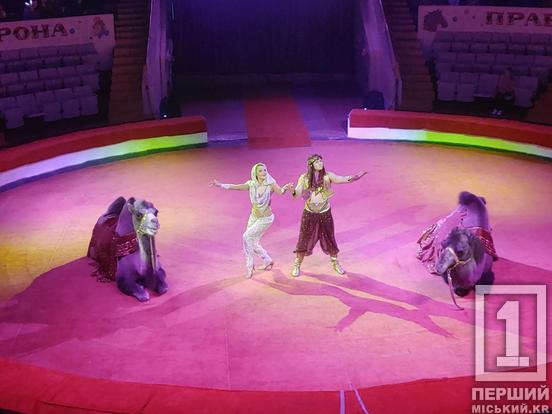 Ви ще не бачили нічого подібного: Криворізький державний цирк представив програму «Бамбалео»2
