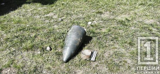 Знищили, поки не наробила біди: у Криворізькому районі знайшли вибухонебезпечну частину збитого рфівського дрона2