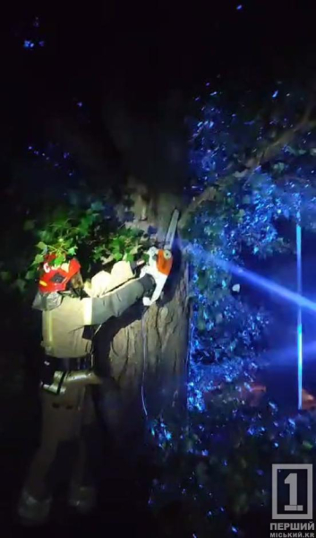 Дві бідосі на дереві: у Покровському районі надзвичайники врятували хлопця, який поліз знімати кота1