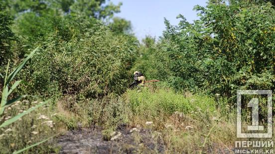 Сірники чи недопалки  – не забавка: у Кривому Розі на Співдружності ДСНС загасила пожежу4