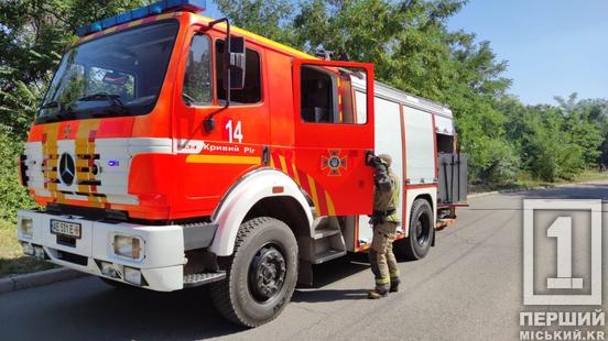 Сірники чи недопалки  – не забавка: у Кривому Розі на Співдружності ДСНС загасила пожежу1