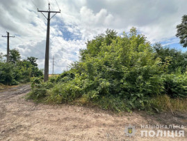 У Кривому Розі затримали чоловіка за незаконне спилювання дерев