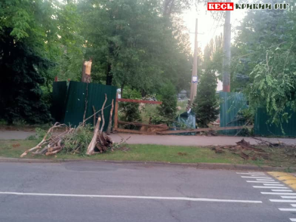 Дерево впало і пошкодило паркан перед СШ-4 під час бурі в Кривому Розі