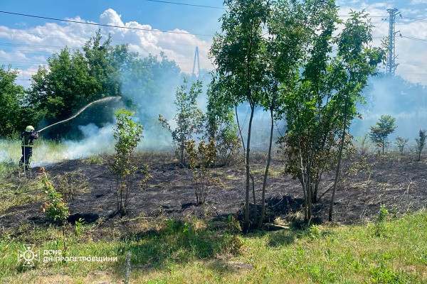 Вогнеборці ліквідували 36 пожеж в екосистемах2