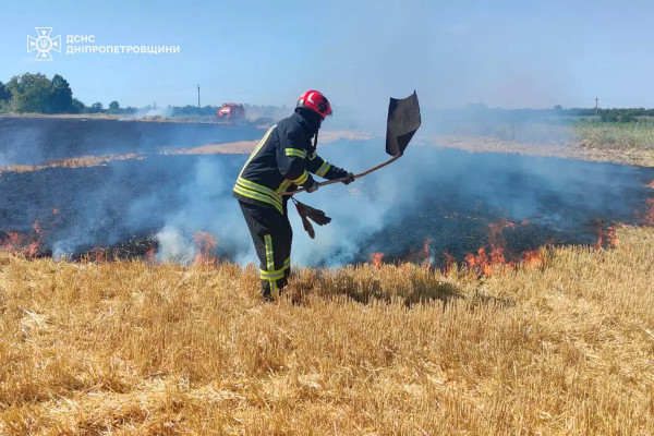 Вогнеборці ліквідували 36 пожеж в екосистемах0