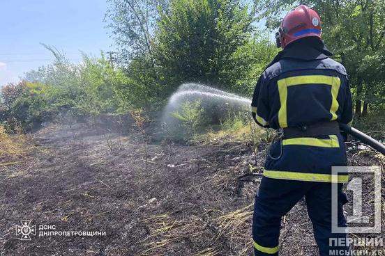 На Дніпропетровщині більше 41 га природних екосистем зазнали пожеж минулої доби1