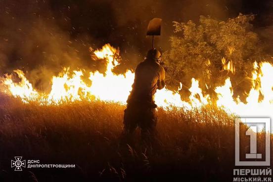 На Дніпропетровщині більше 41 га природних екосистем зазнали пожеж минулої доби4