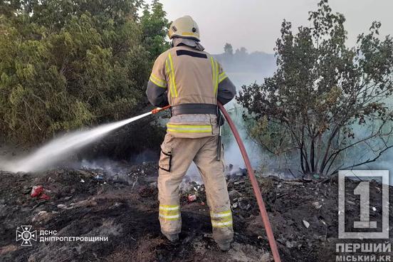На Дніпропетровщині більше 41 га природних екосистем зазнали пожеж минулої доби2