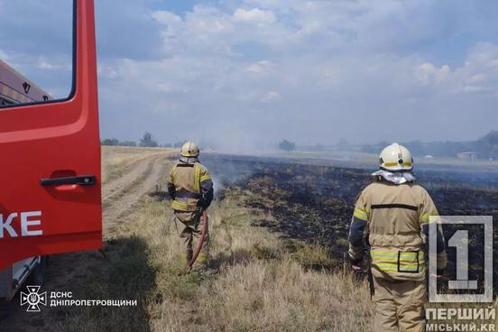 На Дніпропетровщині більше 41 га природних екосистем зазнали пожеж минулої доби3