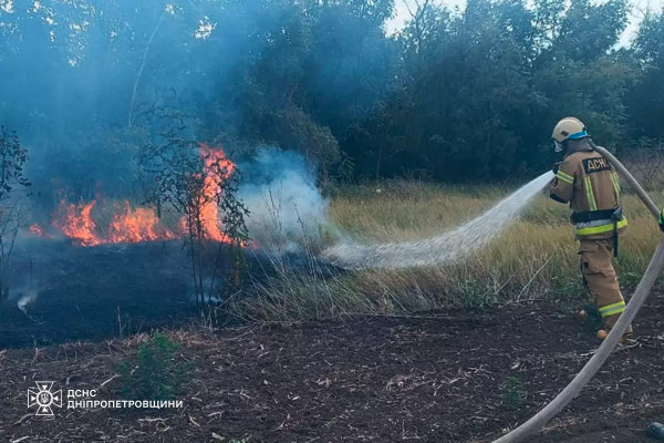 На Дніпропетровщині минулої доби вогнеборці ліквідували 60 пожеж в екосистемах1