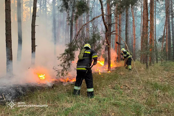 На Дніпропетровщині минулої доби вогнеборці ліквідували 60 пожеж в екосистемах5