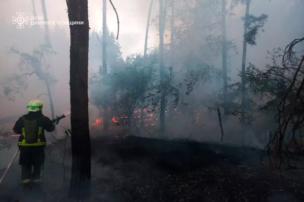На Дніпропетровщині минулої доби вогнеборці ліквідували 60 пожеж в екосистемах2