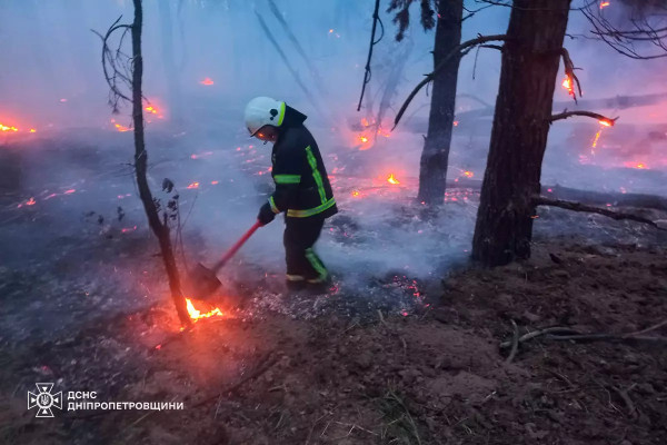 На Дніпропетровщині минулої доби вогнеборці ліквідували 60 пожеж в екосистемах4