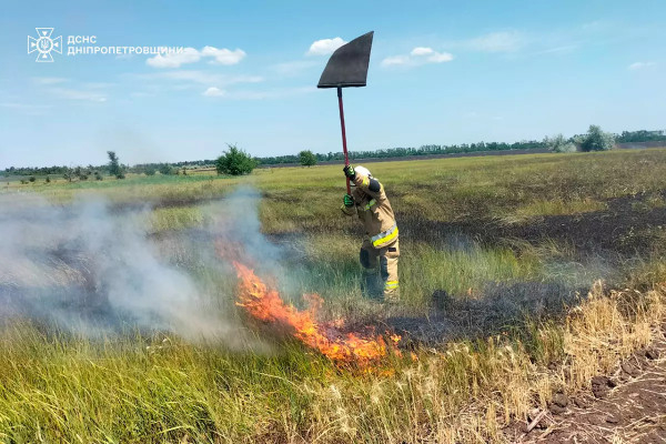 На Дніпропетровщині минулої доби вогнеборці ліквідували 60 пожеж в екосистемах3