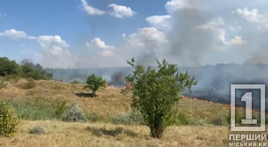 Випалені угіддя, суха трава та знищений вогнем автомобіль: гаряча статистика від рятувальників за минулу добу на Дніпропетровщині1