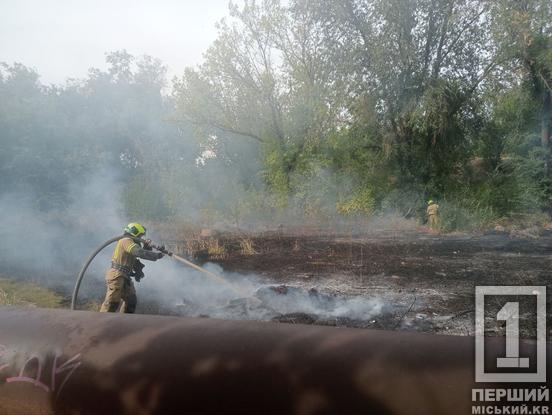 7 машин та пожежний потяг, який підвозить воду: у Кривому Розі шалений вітер розніс вогонь на величезну площу1