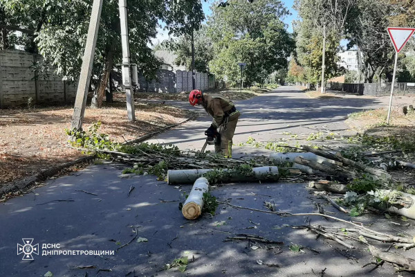 Через сильні пориви вітру на Дніпропетровщині зафіксовано випадки падіння дерев1