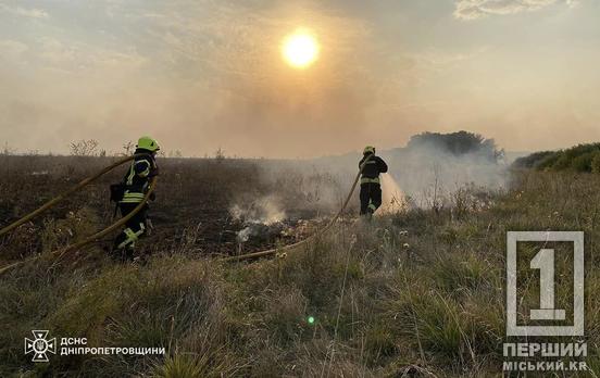 Дніпропетровщина в огні: бушуючі пожежі за добу спалили понад 280 га відкритих територій