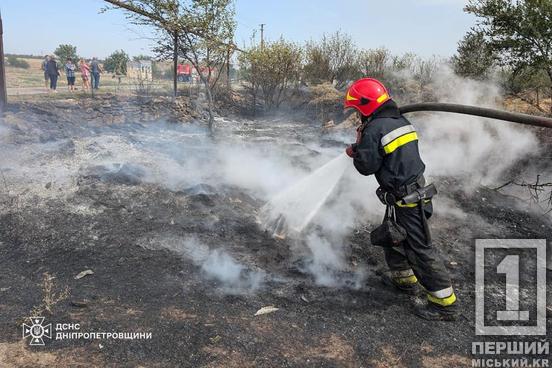 Дніпропетровщина в огні: бушуючі пожежі за добу спалили понад 280 га відкритих територій4